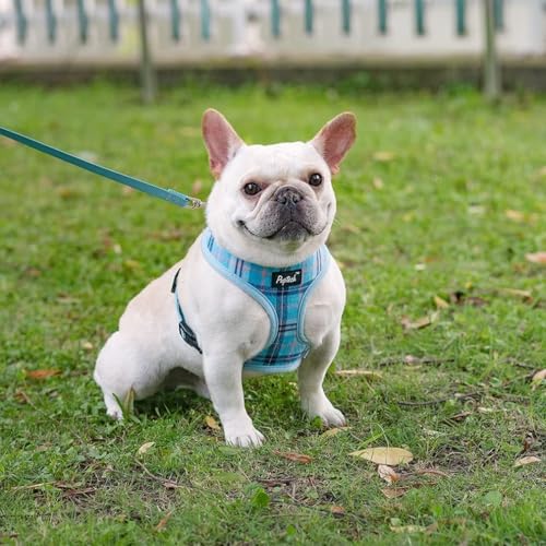 PUPTECK Soft Mesh Dog Harness and Leash Set Pet Puppy Cat Comfort Padded Vest No Pull Harnesses, Light Blue, XS - color: Blue, size: XS (NECK: 10", CHEST: 10"-14")