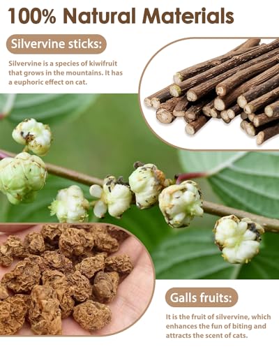 Silvervine Sticks for Cats & Cat Chew Rope - 8Pcs Natural Cat Chew Toy Teeth Cleaning for Bored Indoor Adult Cats, Matatabi Dental Care Kitten Treat Teething Toys, Silver Vine Cat Chew Stick - style: Cat Toys Silvervine Ropes