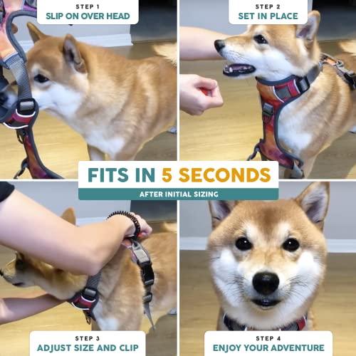 Embark Adventure Small Dog Harness – No-Pull, Reflective Trim, Military-Grade Nylon, Front Clip with Gel-Lined Handle - color: Santa Monica, size: S