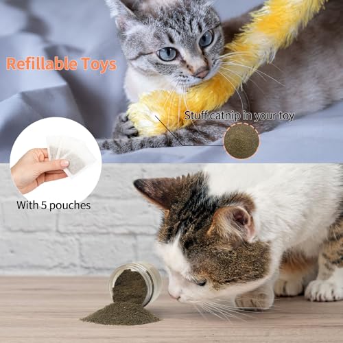 Premium Catnip for Cats & Kittens – Cold-Processed, High Potency Nepetalactone, 100% Pure Organic Leaf-Only Catnip for Toys, Scratchers, Refills, Stimulates Play & Protects Furniture - 15g - size: 15g