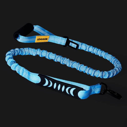 6FT Highly Reflective Heavy Duty Elastic Bungee Medium and Large Dog Leash Shock Absorbing with Comfortable Padded Handle and Traffic Handle Suitable for Training Light Blue - color: Light Blue