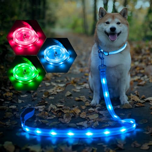 Weesiber Light Up Dog Leash, 4ft LED Dog Leash Rechargeable Safety Glow in The Dark Puppy Lead Safety Pet Lights for Night Walking (Blue) - color: Blue