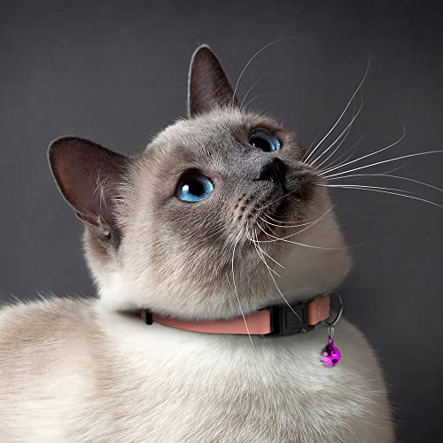 Breakaway Cat Collar with Bell - Leather Adjustable Kitten Collars with Safety Quick Release Buckle - Soft Small Pet Collars for Girl & Boy Cats (Rose) - color: Rose