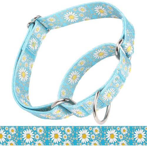 Light Blue Martingale Collar for Dogs, Adjustable Soft Nylon No Slip No Pull Training Collar, Durable Escape Proof Cinch Collar for Small Medium Large Dogs (Light Blue, L (Neck 18"-21")) - color: Light Blue, size: L (Neck 18"-21")