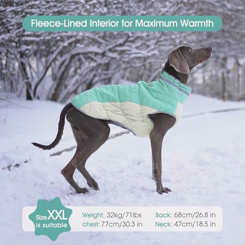 FUAMEY Dog Coat for Small Dogs,Waterproof Dog Winter Jacket with Harness Built in Puppy Cold Weather Coats Reflective Pet Vest with Zipper Warm Fleece Dogs Snowsuit Windproof Mint Green XS - color: Mint Green, size: XS(chest:14in)