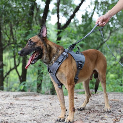 ICEFANG Relfective Dog Leash for Medium Large Dogs,K9 Training Walking Lead with Double Handle,Heavy Duty Auto-Lock Metal Clasp (6ft, Grey) - color: Grey, size: 6 ft (No bungee)