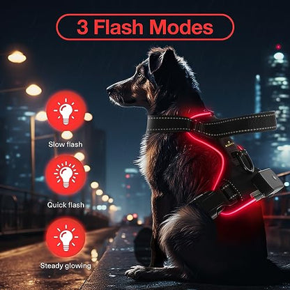 Light Up Dog Harness - No Pull Led Dog Harness Rechargeable Adjustable Lighted Dog Vest Harness for Small Medium Large Dogs - color: Black-Red, size: S