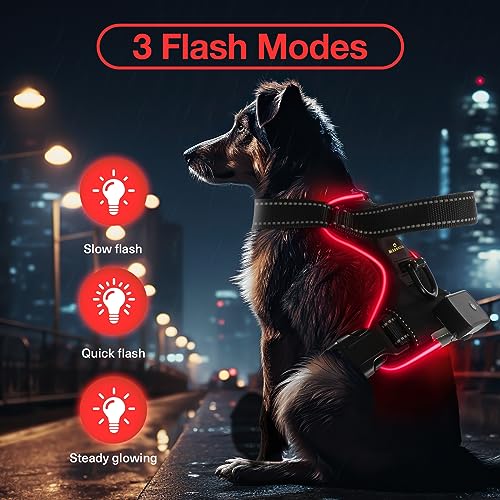Light Up Dog Harness - No Pull Led Dog Harness Rechargeable Glow Vest for Night Walking Adjustable Sizes - color: Black-Red, size: L