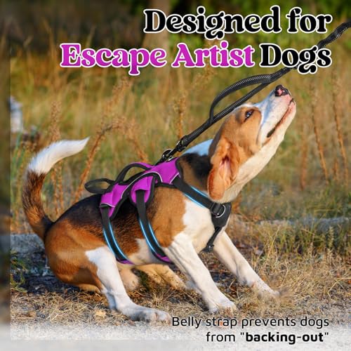 rabbitgoo Escape Proof Dog Harness, Soft Padded Full Body Pet Harness, Reflective Adjustable No Pull Vest with Lift Handle and Lesh Clip for Large Dogs Walking Hiking Training, S, Purple - color: Purple, size: Small (Pack of 1)
