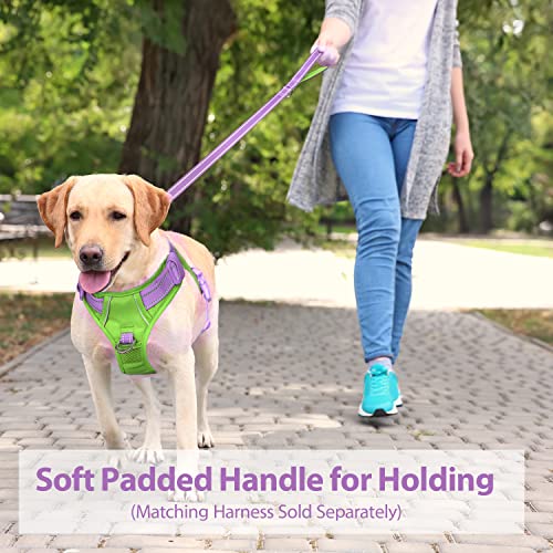 PHOEPET 5 Feet Dog Leash - Dual-Side Reflective - Soft Padded Handle - Fit for Walking, Training or Exploring Hiking, Camping (Baby Purple + Green Base) - color: Baby Purple + Green Base