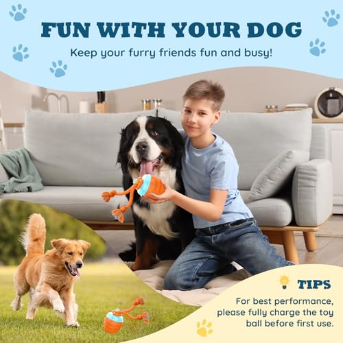 Interactive Dog Toys Ball - New Upgraded Chase Buddy Dog Toy for Small Dogs, Automatic Moving and Rolling Dogs Ball for Boredom, USB Rechargeable(Light Orange)