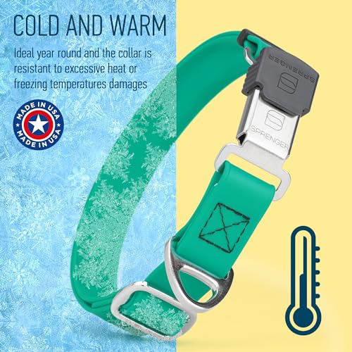 Biothane Waterproof Durable Dog Collar with Herm Sprenger - Quick Release ClicLock Buckle - Fits Medium and Large Dogs - Made in USA (Teal, W 1" x L 15"-25") - color: Teal, size: W 1" x L 15"-25"