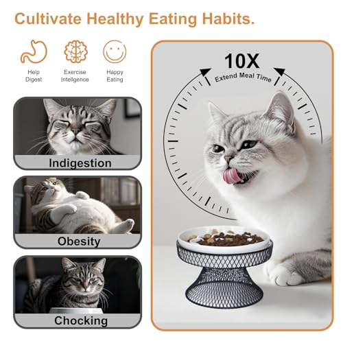 Raised Ceramic Cat Slow Feeder Bowl Elevated Food Bowl with Stand, Cat Slow Bowl for Wet Food and Dry Food, Whisker Friendly Pet Feeder for Kitty and Small Dog - color: Pink