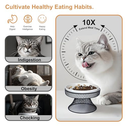 Raised Ceramic Cat Slow Feeder Bowl Elevated Food Bowl with Stand, Cat Slow Bowl for Wet Food and Dry Food, Whisker Friendly Pet Feeder for Kitty and Small Dog - color: Pink