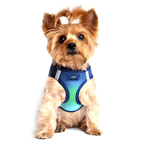 Doggie Design No Choke Dog Harness - Simple Step-in and Go Dog Vest for Small, Medium, and Large Breeds - Breathable Mesh Polyester Pet Harness - Northern Lights - XXS - color: Northern Lights, size: XX-Small