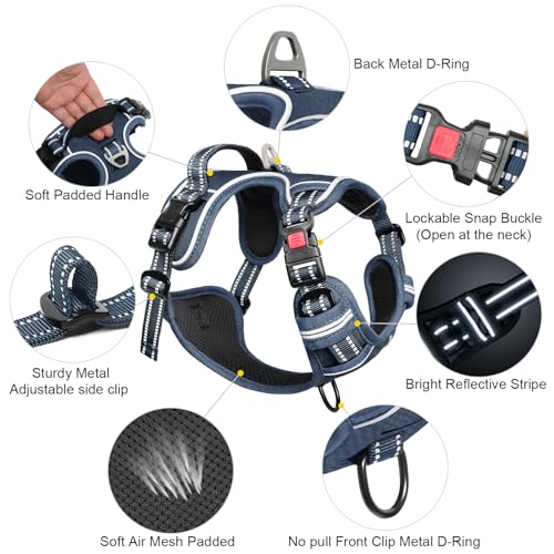 Dog Harness Small Sized, No Pull Pet Harness with Neck Lockable Snap,No Choke Front Clip Dog Reflective Vest,Adjustable Metal Rings 3 Buckles,Easy Control Handle for Small Dogs Royal Blue S - color: Lock Royal Blue, size: Small (Pack of 1)