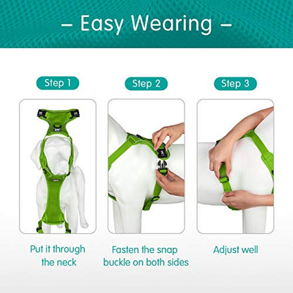 PoyPet Reflective Soft Breathable Mesh Dog Harness Choke-Free Double Padded Vest with Adjustable Neck and Chest(Mint Green,S) - color: Mint Green, size: S