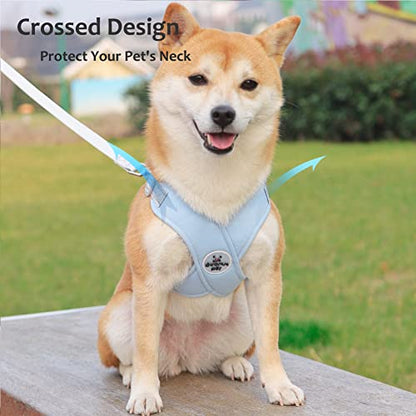 Dog Harness Pet X Frame No Pull Step-in Harnesses with Leash Set, Adjustable Reflective Choke Free Puppy with Padded Vest for Small, Medium Dogs and Cats Walking Training - color: Blue, size: Large