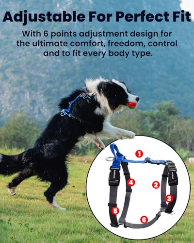 Non-Restrictive Dog Harness, Easy Walk Freedom No Pull Harness, Keep Balance, Neck-Buckle, Six Points Adjustment, 2 Leash Clips for Back and Front Clip (Blue/Black, X-Small) - color: Blue/Black, size: XS