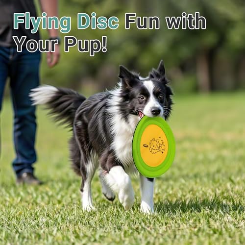 Bifeaw 3 Packs Nylon Interactive Dog Flying Disc - Floating Dog Toys for Aggressive chewers - Water Toys for Dogs (Yellow and Green) - color: Yellow and Green