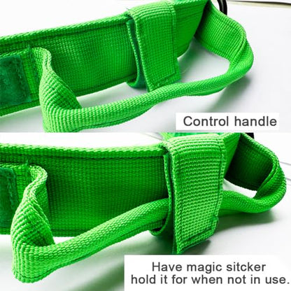 Tactical Dog Collar - Military Dog Collar - Adjustable Nylon - Heavy Duty Metal Buckle with Handle - Bright Green, Small - color: Bright Green, size: Small (Pack of 1)