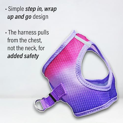 Doggie Design Dog Harness - No Choke Dog Harness, Dog Vest, Mesh Polyester, Pet Harness, Simple Step in and Go Design, Harness for Dog - Raspberry Sundae, XXS - color: Raspberry Sundae, size: XX-Small