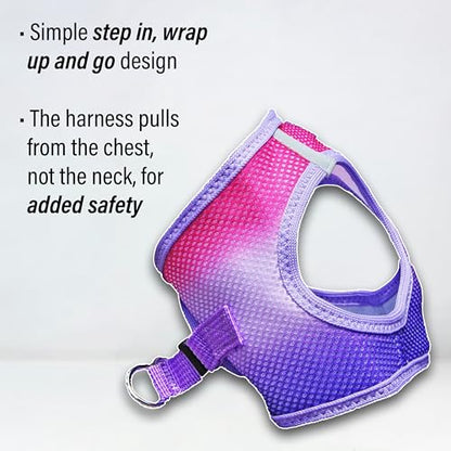 Doggie Design Dog Harness - No Choke Dog Harness, Dog Vest, Mesh Polyester, Pet Harness, Simple Step in and Go Design, Harness for Dog - Raspberry Sundae, XXS - color: Raspberry Sundae, size: XX-Small