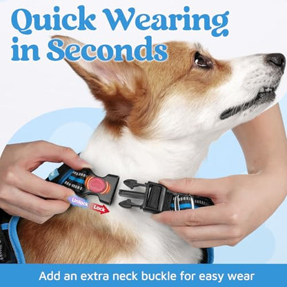 rabbitgoo Dog Harness Small Sized, No Pull Dog Vest with 3 Buckles, Adjustable Soft Padded Pet Harness with Easy Control Handle and Reflective Strips, Black & Sky Blue, S - color: Black & Sky Blue, size: Small