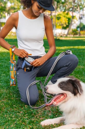 OllyDog Goodie Treat Bag, Dog Treat Pouch, Waist Belt Clip for Hands-Free Training, Magnetic Closure, Dog Training and Behavior Aids, Three Ways to Wear (Blue Heron) - color: Blue Heron
