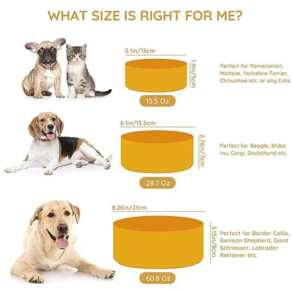 SPUNKYJUNKY 13.5OZ Ceramic Dog and Cat Bowl, Modern Cute Weighted Food Water Bowl for Replacement Yellow (1 Pack) - color: Yellow, size: 1.7 CUPS