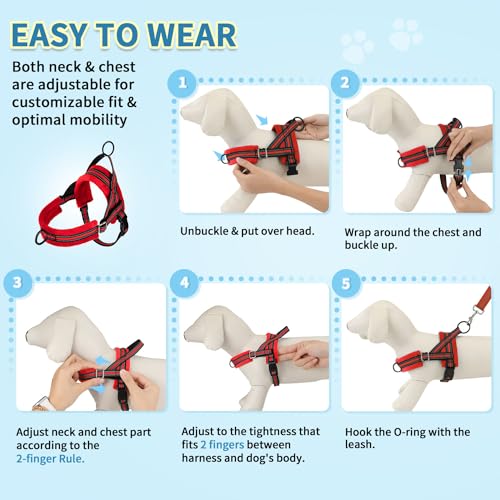 SlowTon No Pull Small Dog Harness and Leash Set, Puppy Soft Vest Harness Neck & Chest Adjustable, Reflective Lightweight Harness & Anti-Twist Pet Lead Combo for Small Medium Dogs (R-Front Clip,XXS) - color: B-Red - With Front Clip, size: XX-Small