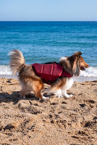 NOAH & PAW Dog Life Jacket, Human Standards Lifejacket Design, Dog Life Vest for Swimming and Boating, 3X Foam Support for Max Floating, Breathable Mesh, Salvavidas para Perros, Size L - size: L
