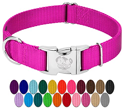 Country Brook Petz - Premium Nylon Dog Collar with Metal Buckle for Small Medium Large Breeds - 10+ Cool Colors (Small, 3/4 Inch, Fuchsia) - color: Fuchsia, size: Small (Pack of 1)