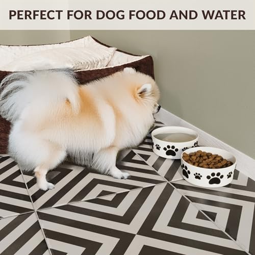 Ceramic Dog Bowls for Small Size Dog - 5'' Round × 2 Tall Dog Food Bowl & Water Bowl Set of 2 - Small Dog Bowls with Anti-Slip Rings - 2 Cups Food and Water Bowls for Dogs and Cats - size: 5 in