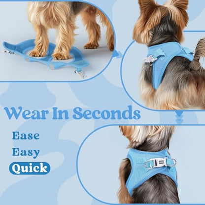 rabbitgoo Small Dog Harness, Step-in Soft Mesh Puppy Vest with Safety Buckle, Breathable Reflective Pet Harness for Extra Small Dogs, Blue XXXS - color: Blue, size: Xxxs(chest:10.8"-11.8")