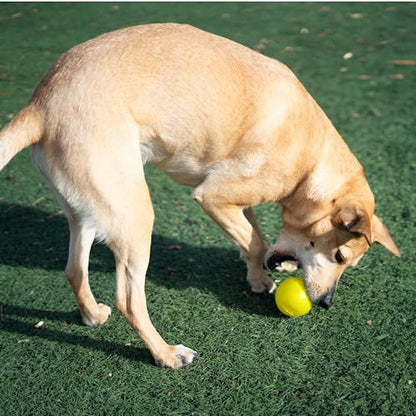 Outward Hound by Planet Dog Squeak Ball Bouncy Fetch Dog Toy, Yellow - color: Yellow Squeak Toy