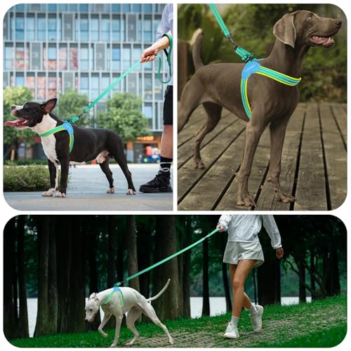 Kazazoo No Pull Small Dog Harness and Leash Set, Adjustable Puppy Soft Vest Harness with Breathable Mesh Padded, Reflective Lightweight Harness with Buckle for Extra Small Medium Dogs, Green XS - color: Green, size: XS