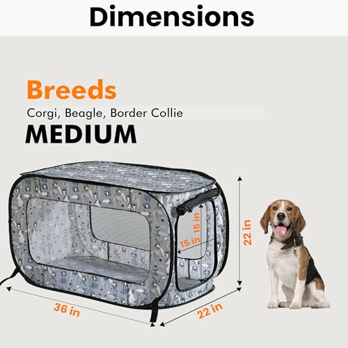 Beatrice Home Fashions Portable, Collapsible, Pop Up Kennel Travel Cat and Dog Crate, 36" L x 22" W x 22" H, Tail Waggers - color: Tail Waggers, size: 36.0"L x 22.0"W x 22.0"H