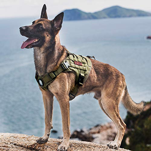 OneTigris Tactical Dog Harness Vest,No-Pull Service Dog Vest with Hook & Loop Panels,Adjustable Dog Vest Harness for Walking Hiking Training(Ranger Green,XS) - color: Green, size: XS