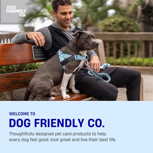 Dog Friendly Co. Bungee Dog Leash | Strain Free & Shock Resistant for Control | Neoprene Padded Handle, Heavy-Duty Carabiner Clip, and D-Ring | Grey Camo, Size Small - color: Grey Camo, size: Small