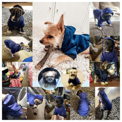Jecikelon Winter Dog Hoodie Sweatshirts with Pockets Warm Dog Clothes for Small Dogs Chihuahua Coat Clothing Puppy Cat Custume (Navy, XX-Small) - color: Navy, size: XX-Small