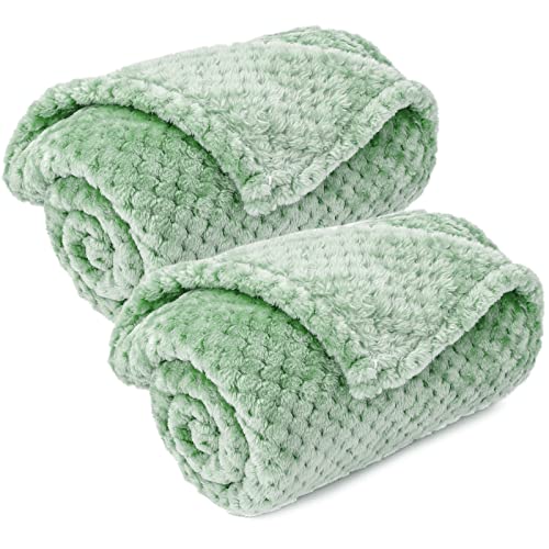 Warm Soft Fuzzy Dog or Cat Blanket, Plush Fleece Throws for Puppy, Kitten, Medium, Large Dogs - Mint (S/24" x 32") - color: Mint, size: S/24" x 32"