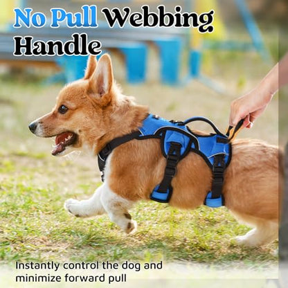 rabbitgoo Escape Proof Dog Harness, Soft Padded Full Body Pet Harness, Reflective Adjustable No Pull Vest with Lift Handle and Leash Clip for Large Dogs Walking Hiking Training, S, Blue - color: Blue, size: Small (Pack of 1)