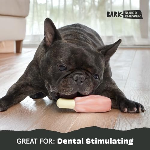 Barkbox Pork Chomp Dog Toy for Durable Tough Nylon Construction with a Gnaw-Friendly Texture, Perfect for Long-Lasting Chewing Fun - Medium - style: Pork Chomp