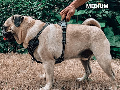 Tuff Pupper No Pull Easy Walk Dog Harness | Heavy Duty Pet Vest | Front & Back Leash Clips | Strong Safety Handle | Reflective Anti Pull Vest | Comfortable Padded Escape Proof Harness (Medium, Black) - color: Epic Black, size: Medium (Neck: 15-23" , Chest