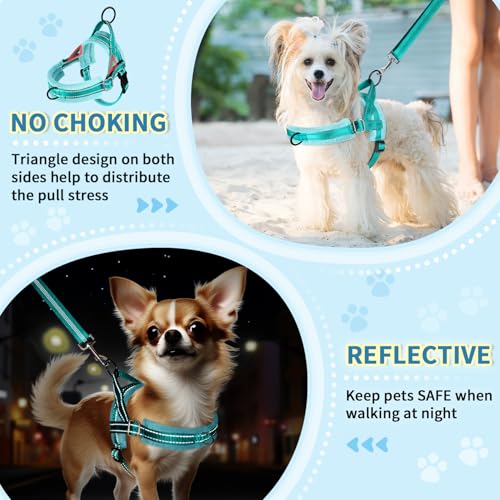 SlowTon No Pull Small Dog Harness and Leash Set, Puppy Soft Vest Harness Neck & Chest Adjustable, Reflective Lightweight Harness & Anti-Twist Pet Lead Combo for Small Medium Dogs(BL-Front Clip,XXS) - color: B-Teal - With Front Clip, size: XX-Small