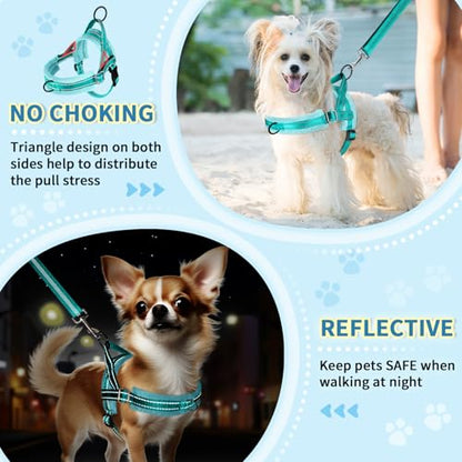SlowTon No Pull Small Dog Harness and Leash Set, Puppy Soft Vest Harness Neck & Chest Adjustable, Reflective Lightweight Harness & Anti-Twist Pet Lead Combo for Small Medium Dogs(BL-Front Clip,XXS) - color: B-Teal - With Front Clip, size: XX-Small