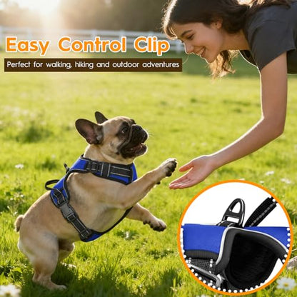 No Pull Dog Harness, No Chock Reflective Adjustable Soft Padded Pet Vest with Easy Control Handle, Easy Wearing with Stylish, Reinforced Knot, 2 Buckles - color: Dazzling Blue, size: X-Small