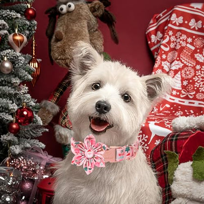 Christmas Dog Collar with Flower Bow - Cute Pink Christmas Santa Dog Collars, Adjustable Heavy-Duty Winter Holiday Bowtie Collar for Small Medium Large Boy Girl Dogs XS - color: F-Pink Santa, size: XS