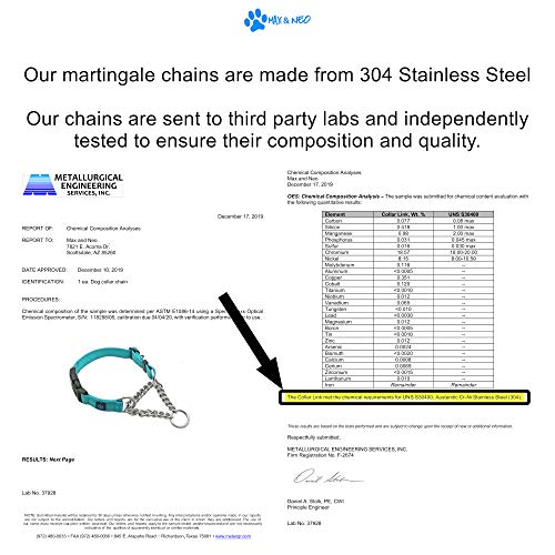 Max and Neo Stainless Steel Chain Martingale Collar - We Donate to a Dog Rescue for Every Collar Sold (Medium, Black) - color: BLACK, size: Medium